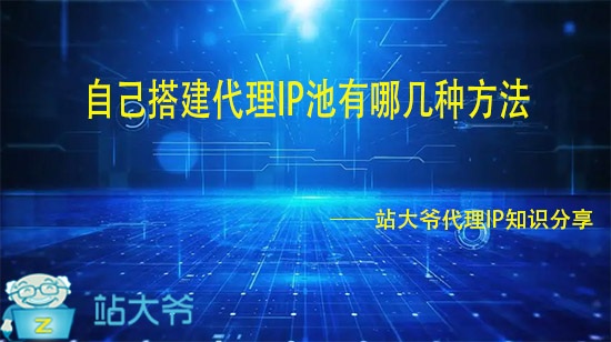 本机代理ip查询