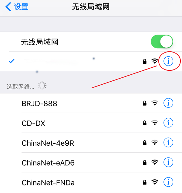 苹果手机Apple怎么使用代理IP上网