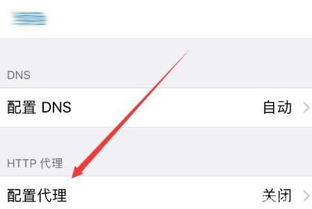 苹果手机Apple怎么使用代理IP上网