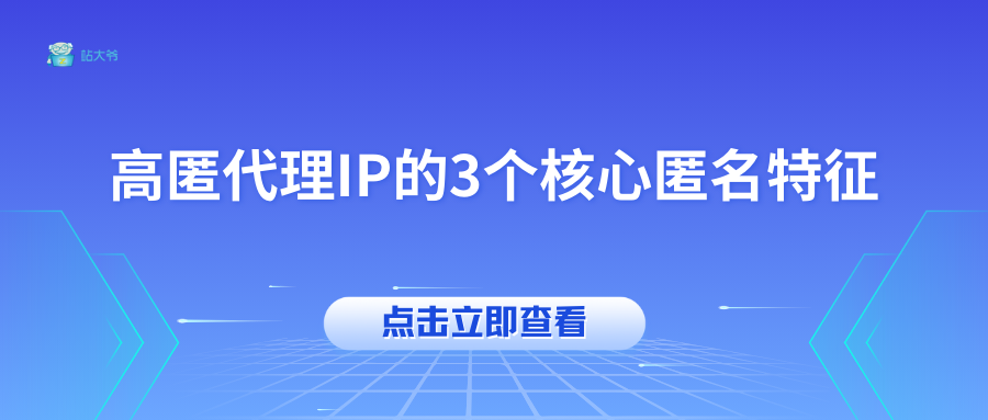 高匿代理IP的3个核心匿名特征