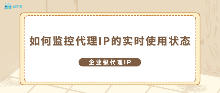 如何监控代理IP的实时使用状态