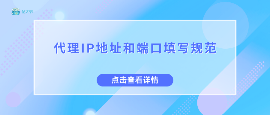 代理IP地址和端口填写规范