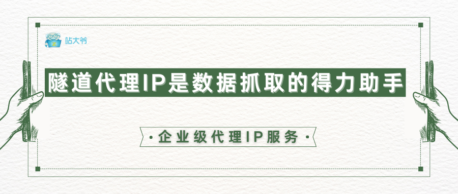 隧道代理 IP：网络数据抓取的 