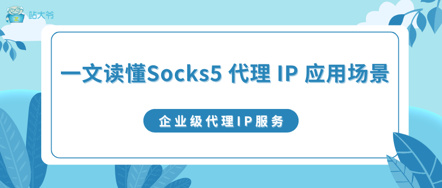 Socks5 代理 IP 怎么用？一文读懂全场景应用指南