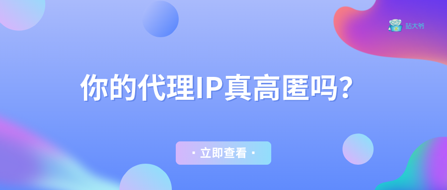 3秒自测：你的代理IP真高匿吗？