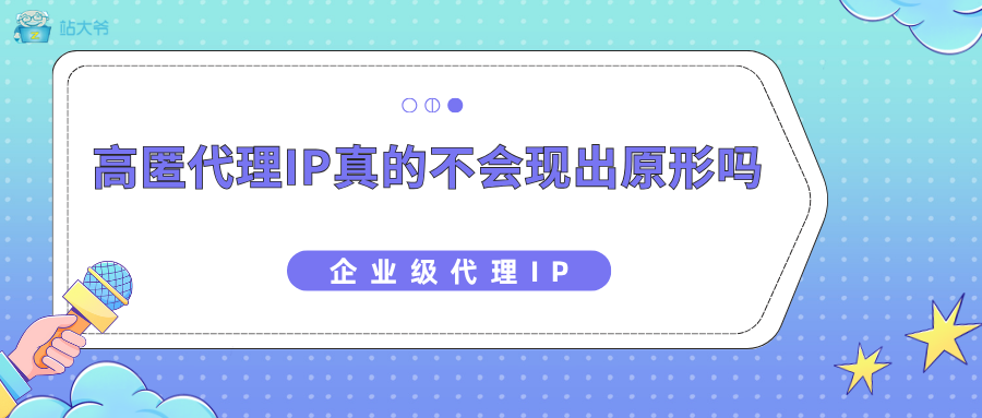 透明代理IP自报家门，高匿代理IP真的不会现出原形吗？