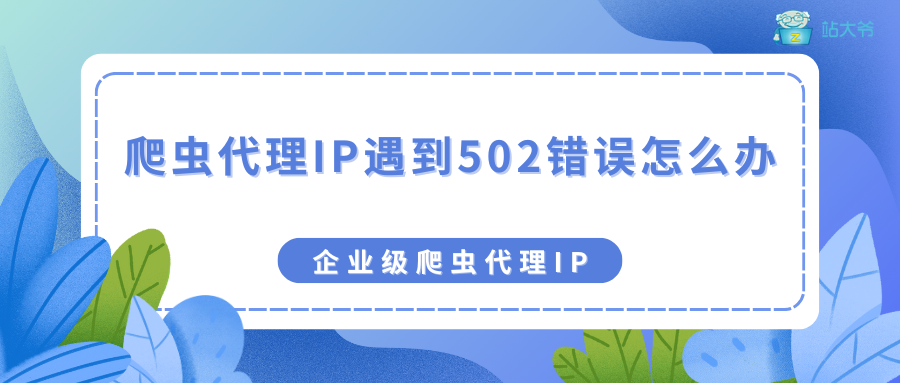 爬虫代理 IP 遇到 502 错误怎么办 