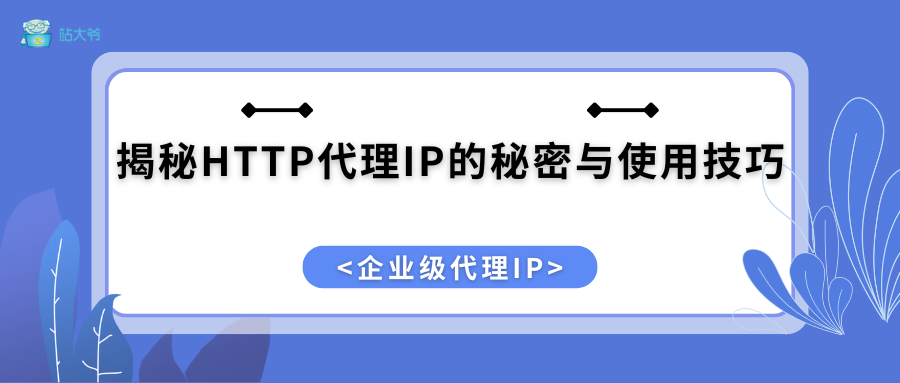 高效电商必备：揭秘HTTP代理IP的秘密与使用技巧